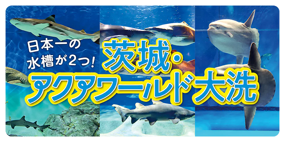 茨城・アクアワールド大洗】サメやマンボウの日本一の水槽をご紹介